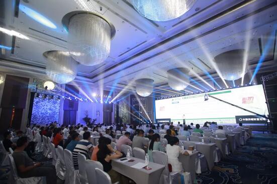 BG大游·(集团)视讯官方网站