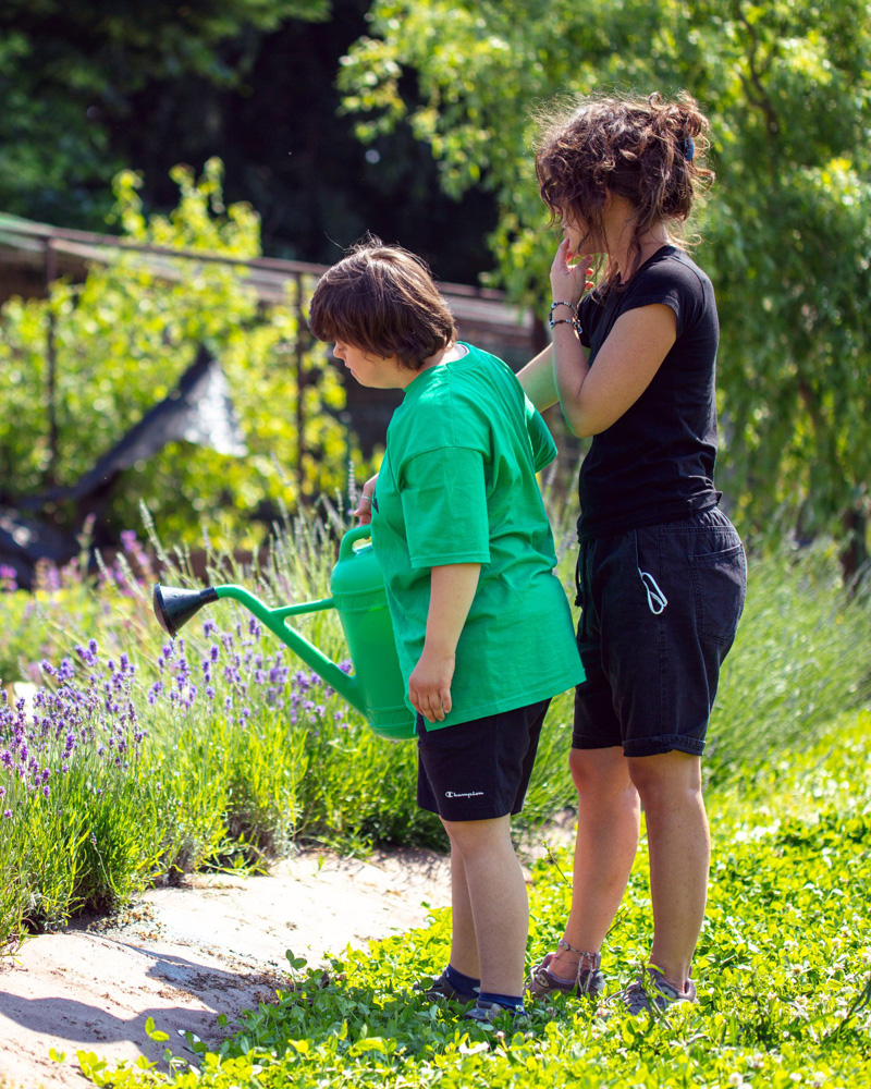 BG大游·(集团)视讯官方网站