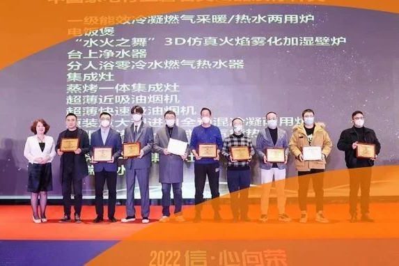 载誉而归 BG大游荣获2022磐石大奖